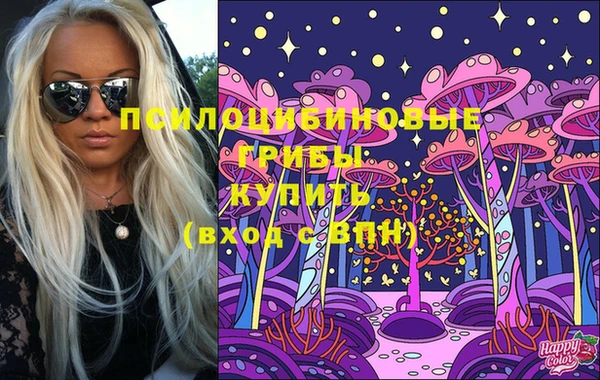 PSILOCYBIN Белоозёрский