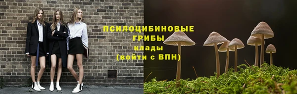 PSILOCYBIN Белоозёрский