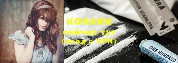бошки Белокуриха