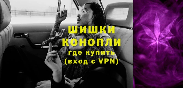 бошки Белокуриха