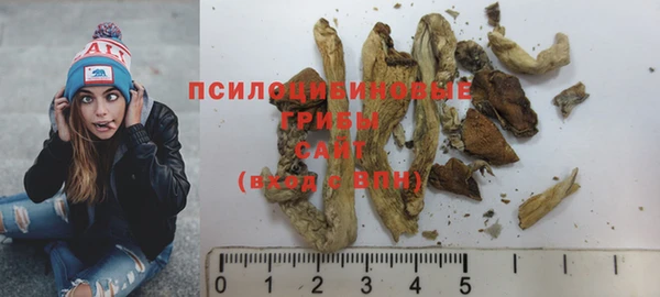 PSILOCYBIN Белоозёрский