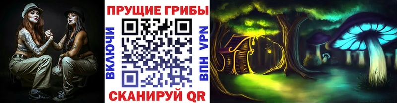 Галлюциногенные грибы Magic Shrooms  магазин продажи   Пионерский 